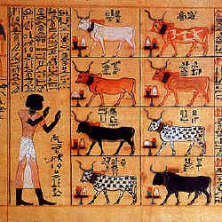 Papyri2.jpg (100314 bytes)